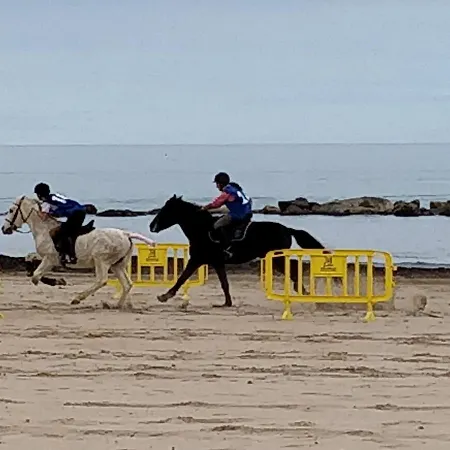 Parte Baja * Oliva