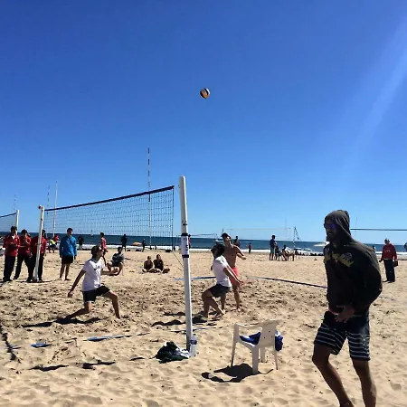 Hello Bb * Олива