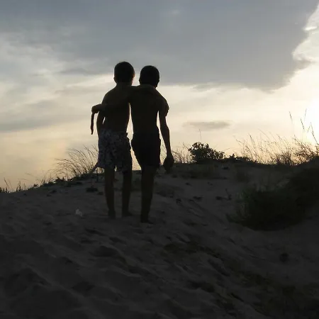 Hello Bb * Олива